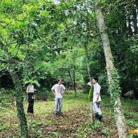 4番目のメイン画像