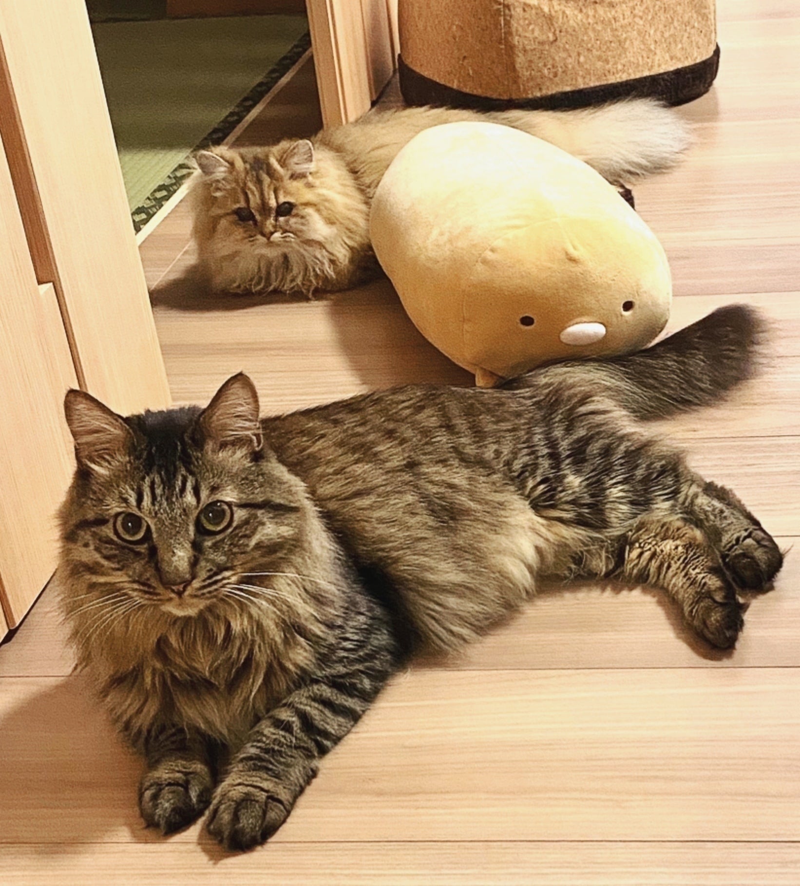 5番目のメイン画像