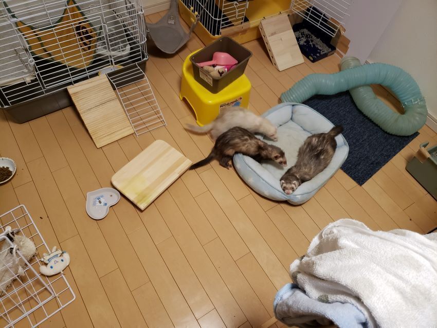 5番目のメイン画像