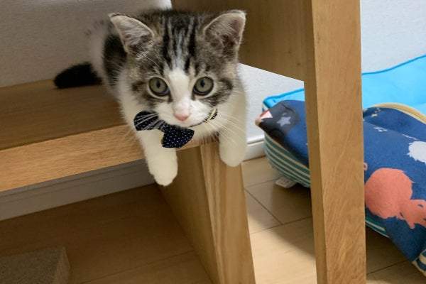 1番目のメイン画像