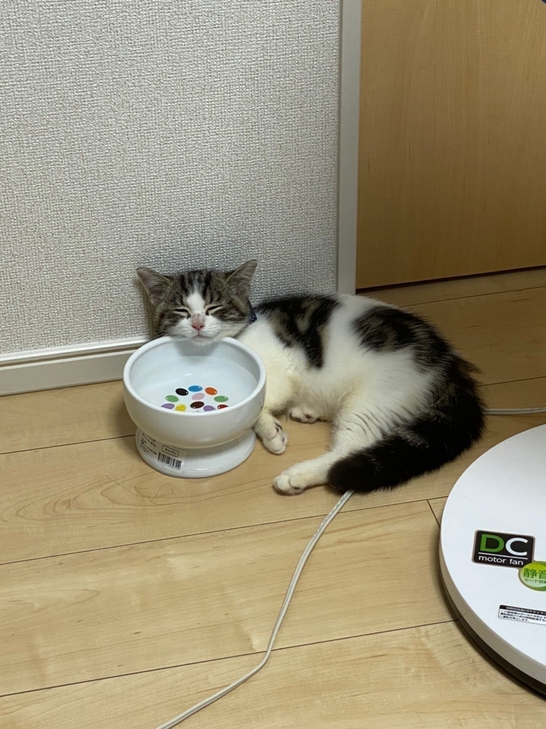 3番目のメイン画像