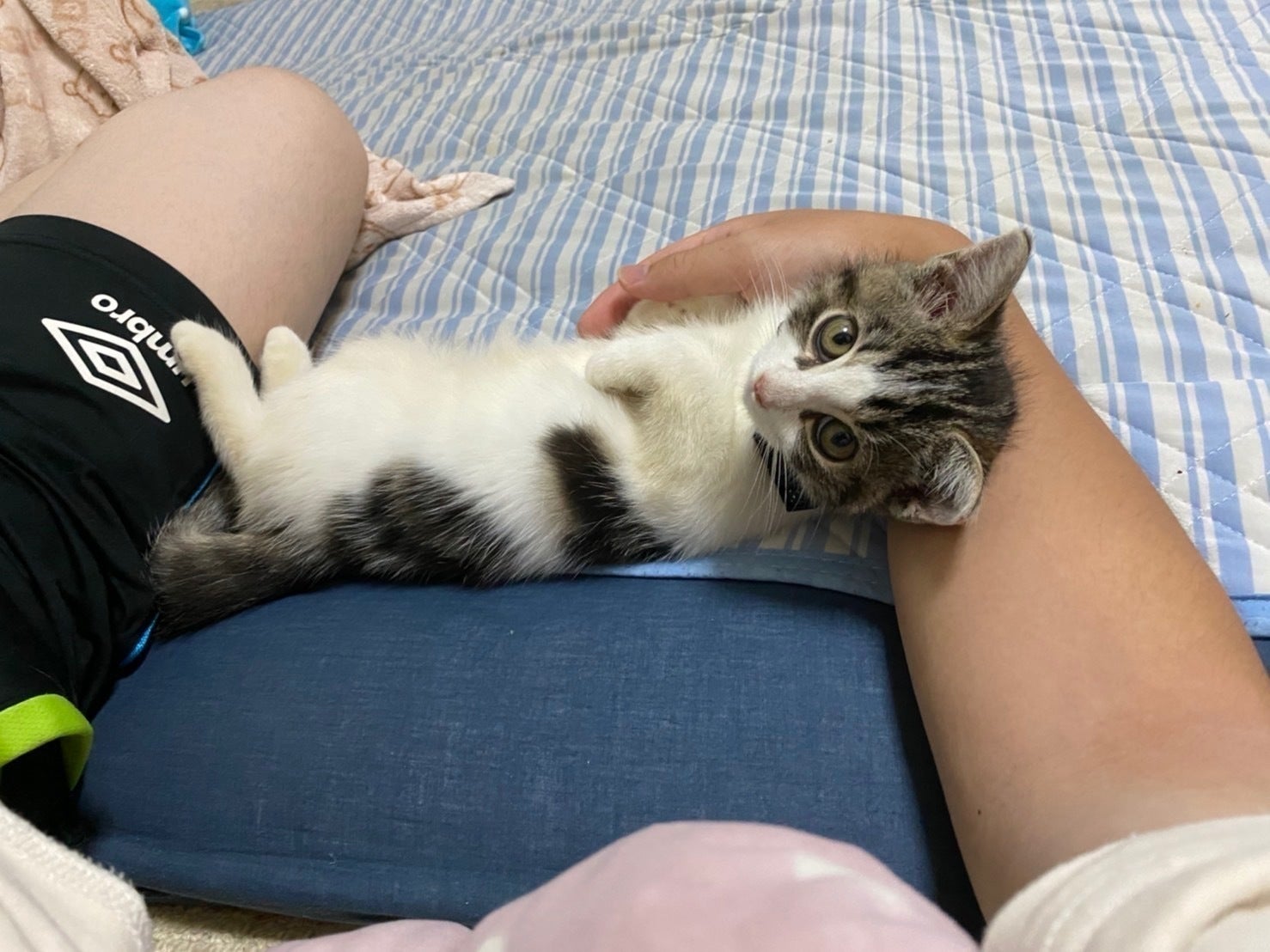 5番目のメイン画像