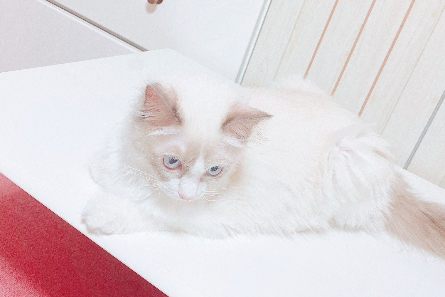 5番目のメイン画像