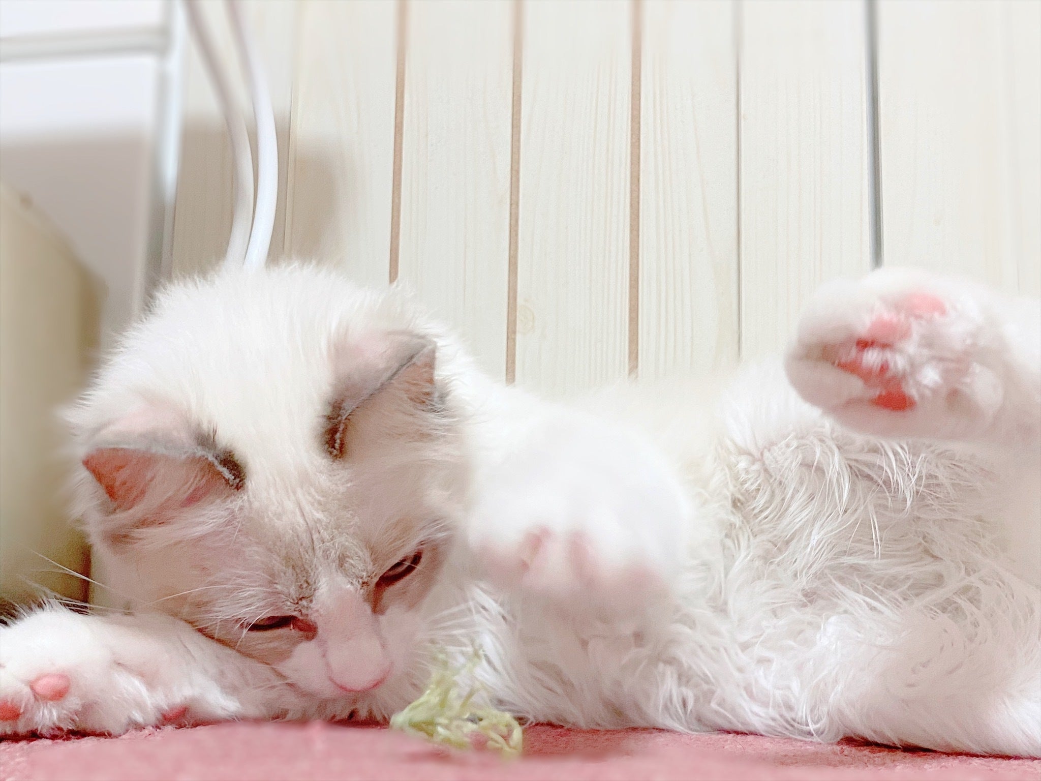 4番目のメイン画像