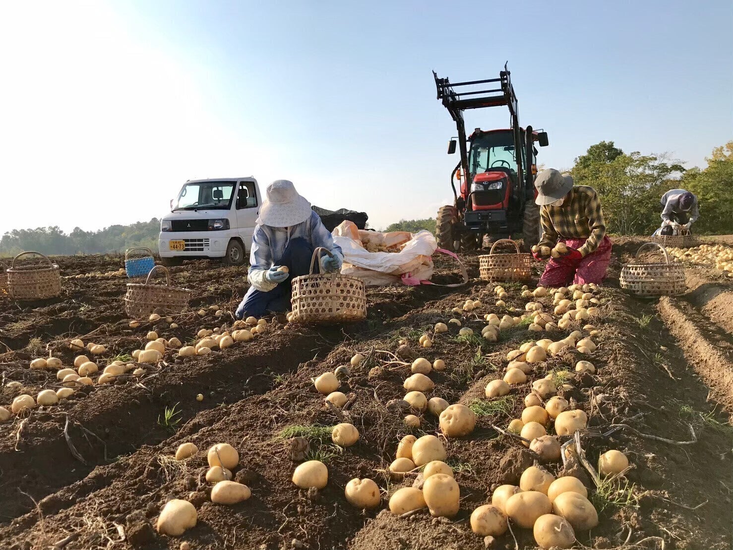 5番目のメイン画像