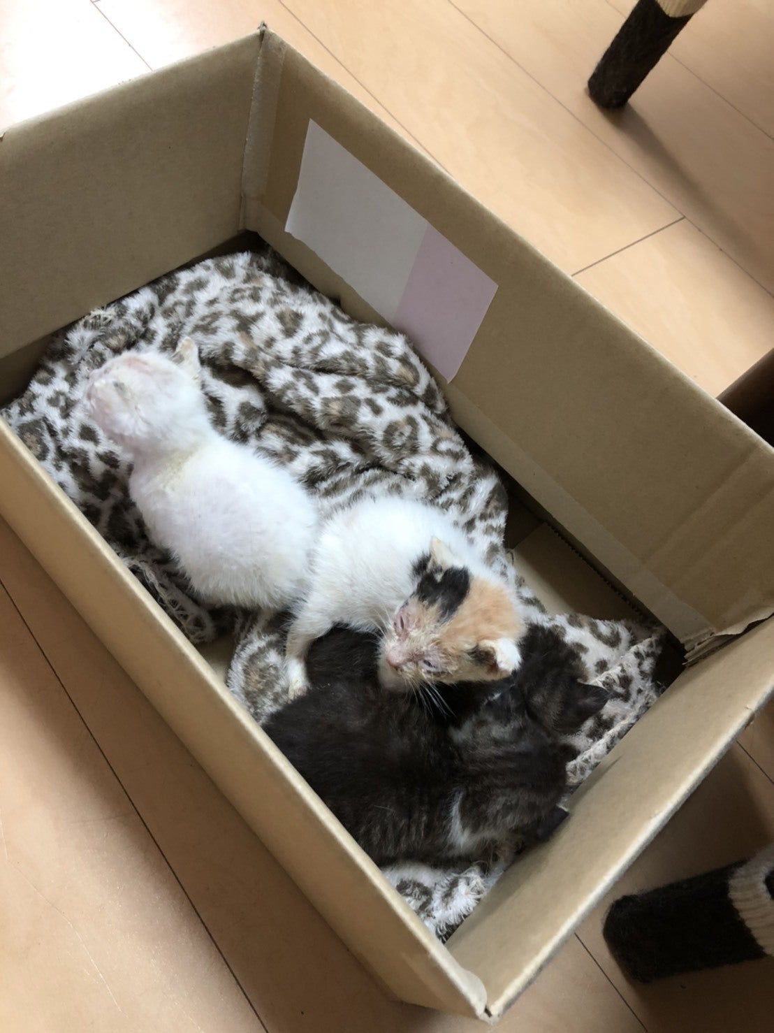 2番目のメイン画像