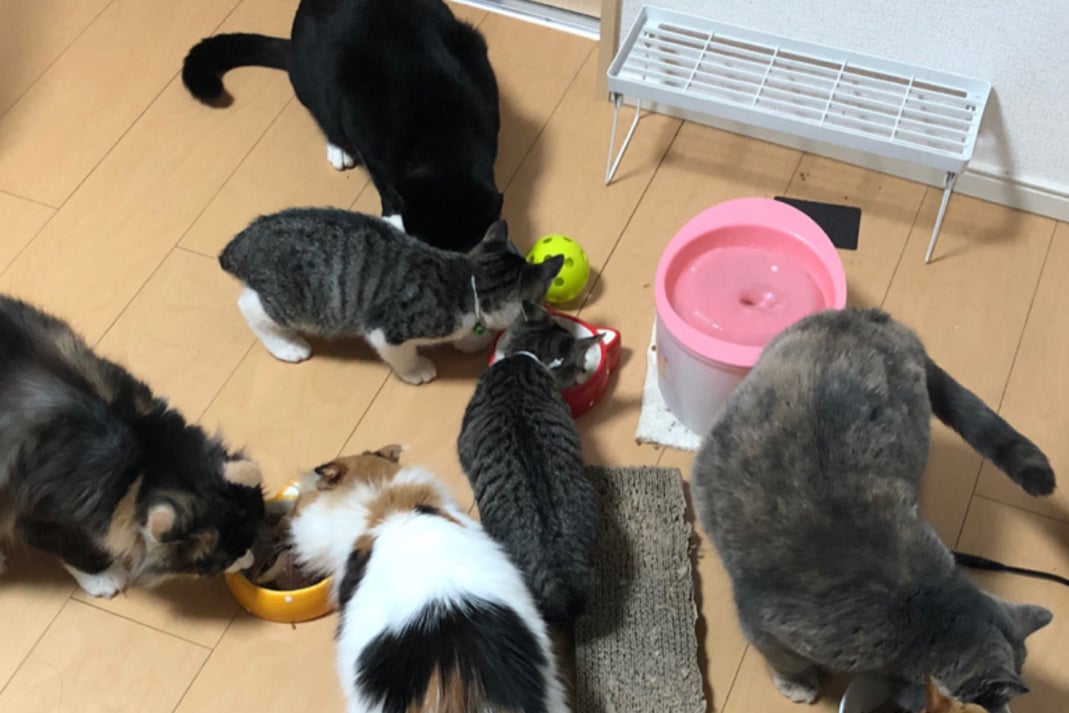 1番目のメイン画像