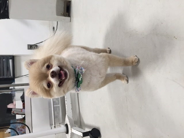 2番目のメイン画像