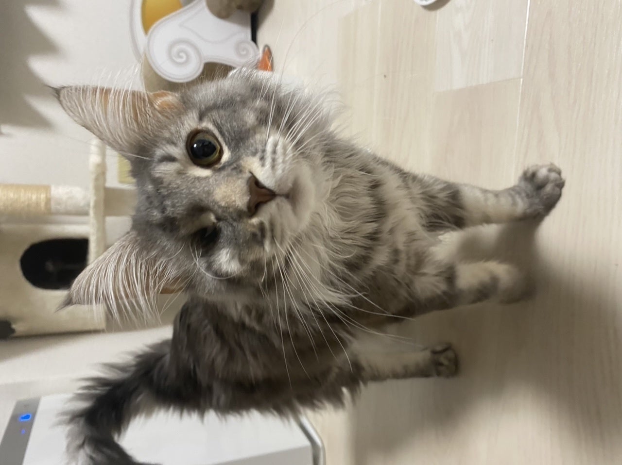 5番目のメイン画像