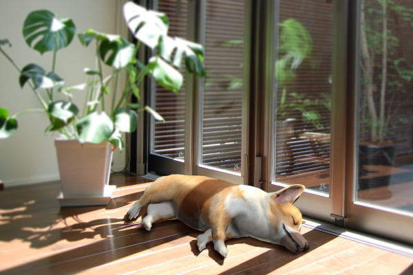 2番目のメイン画像