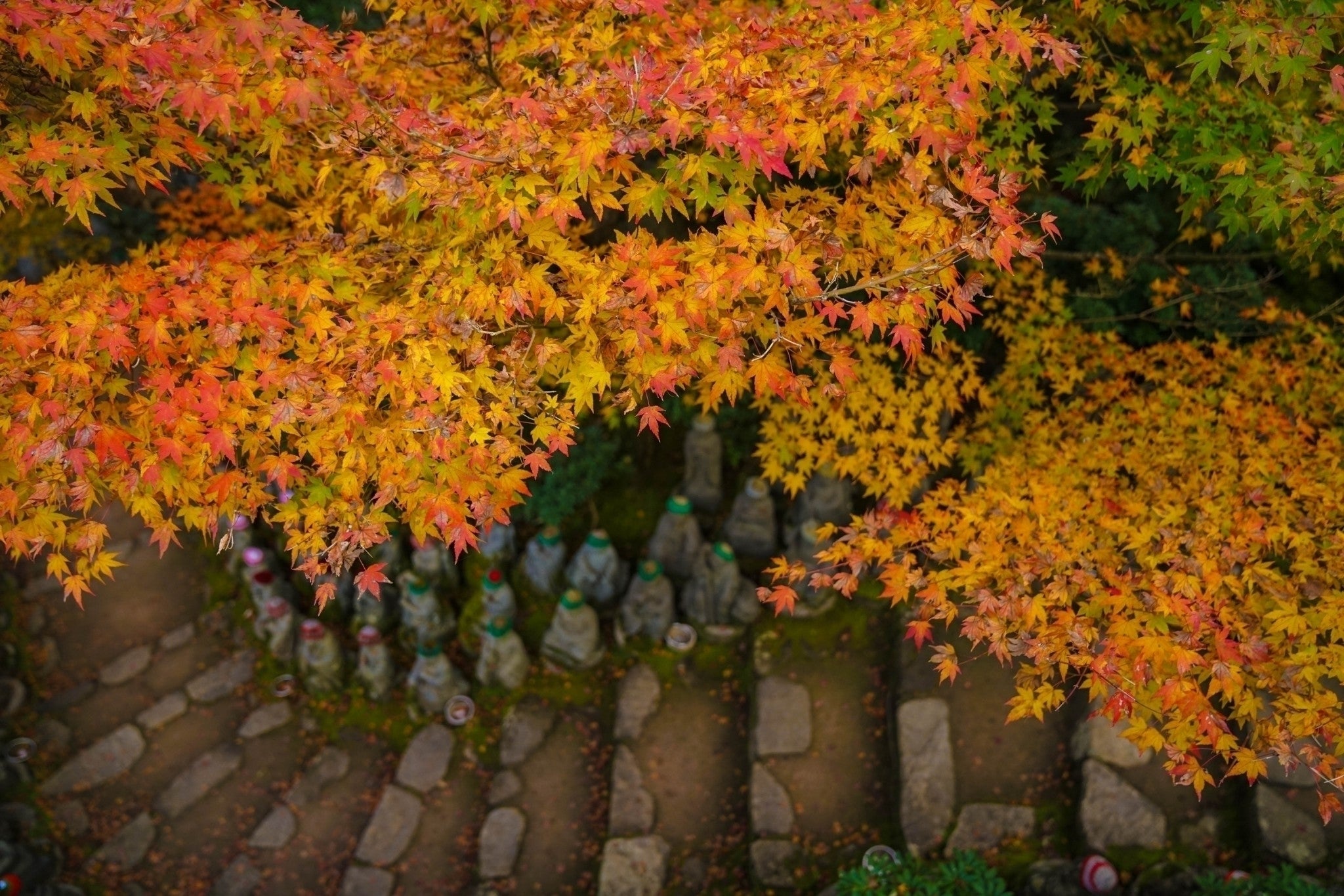 4番目のメイン画像