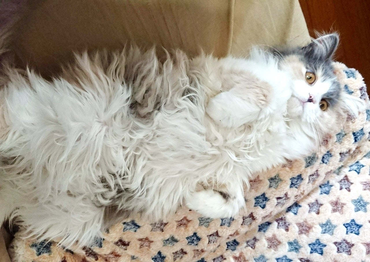 5番目のメイン画像