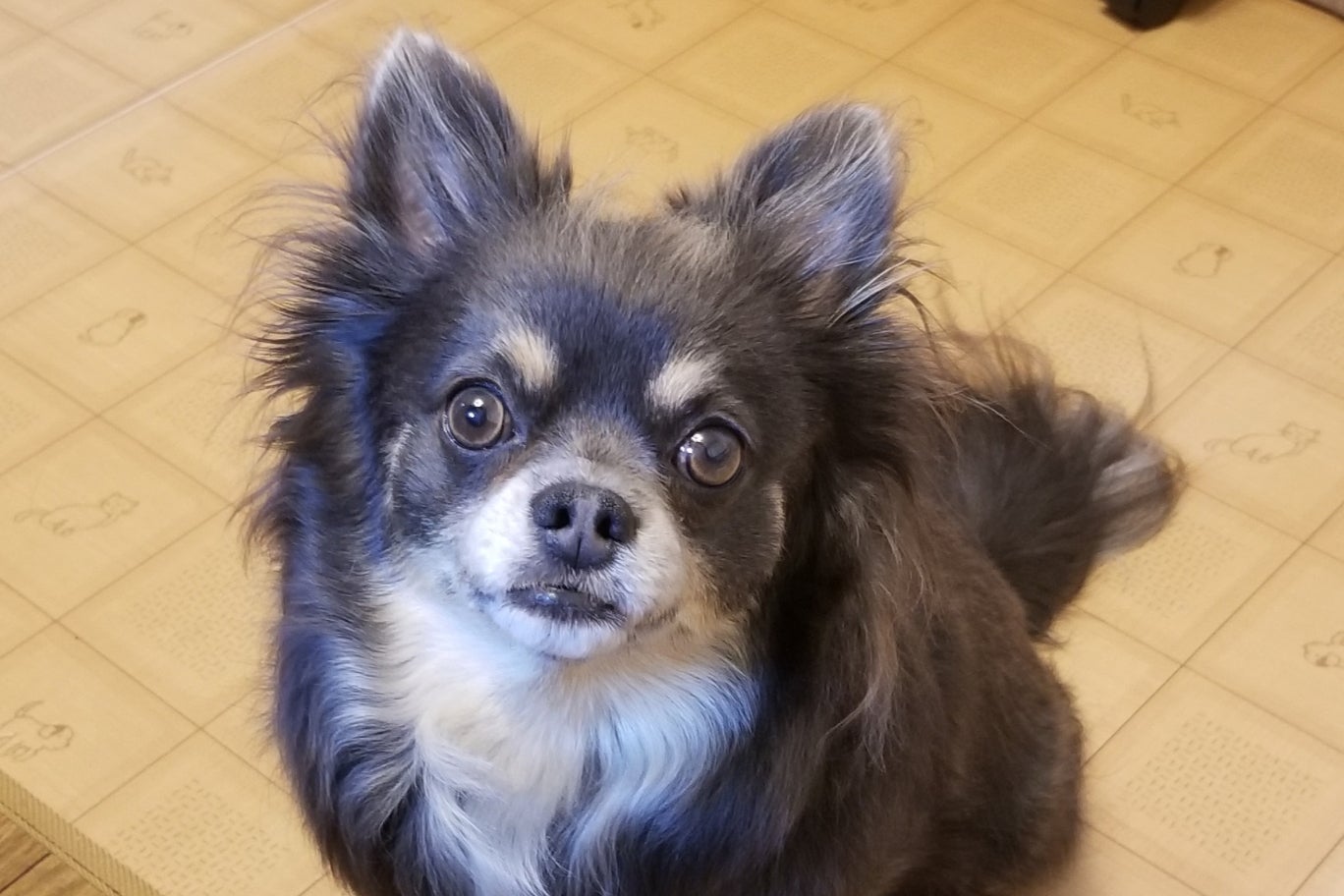 1番目のメイン画像