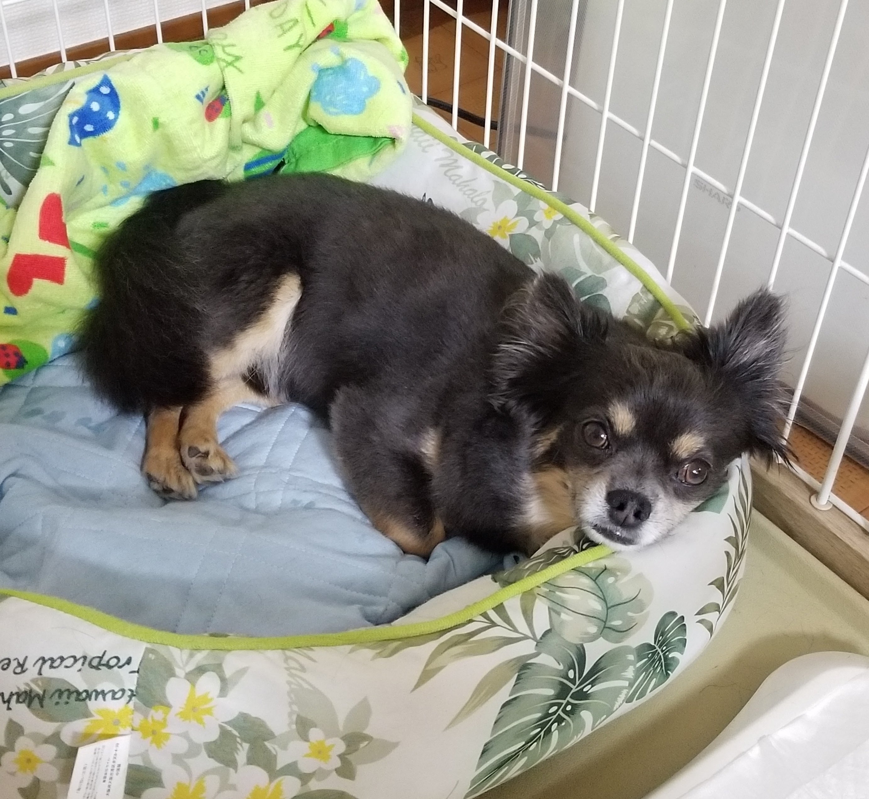 2番目のメイン画像