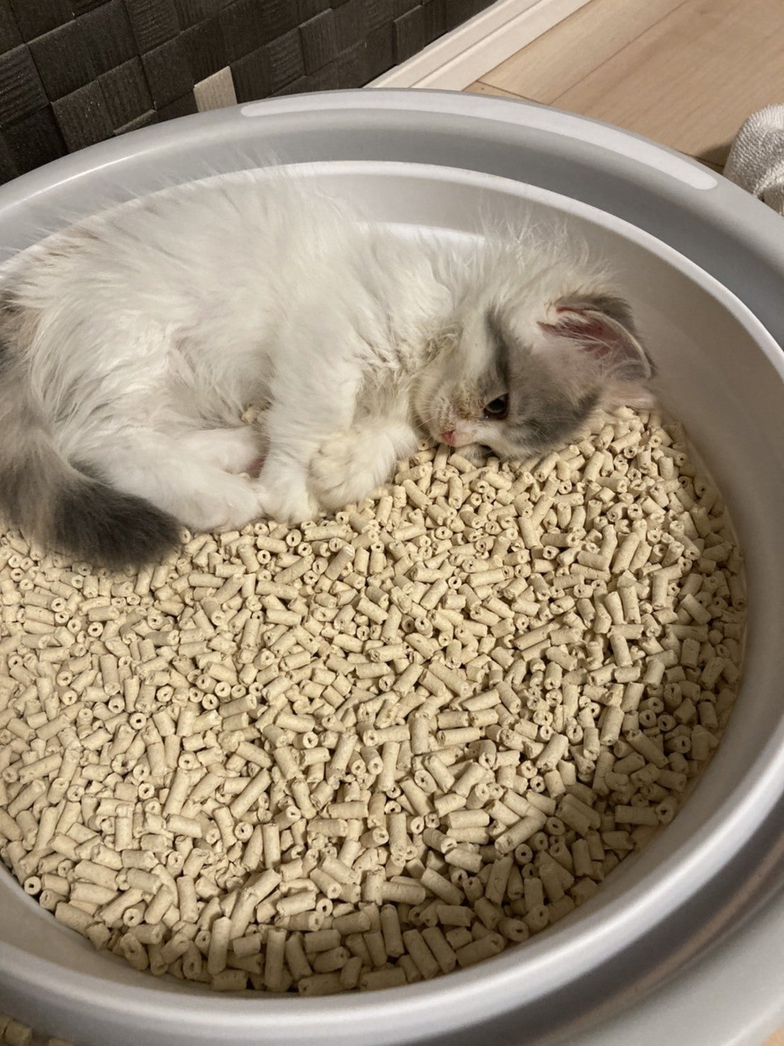 5番目のメイン画像