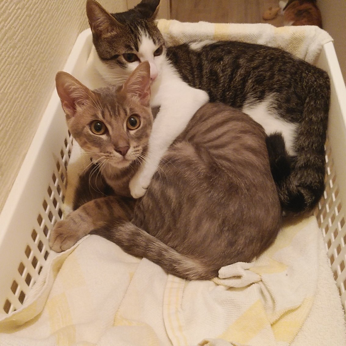 3番目のメイン画像