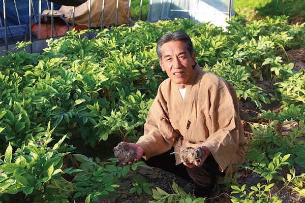 2番目のメイン画像