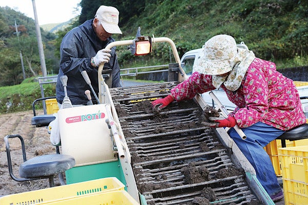 3番目のメイン画像