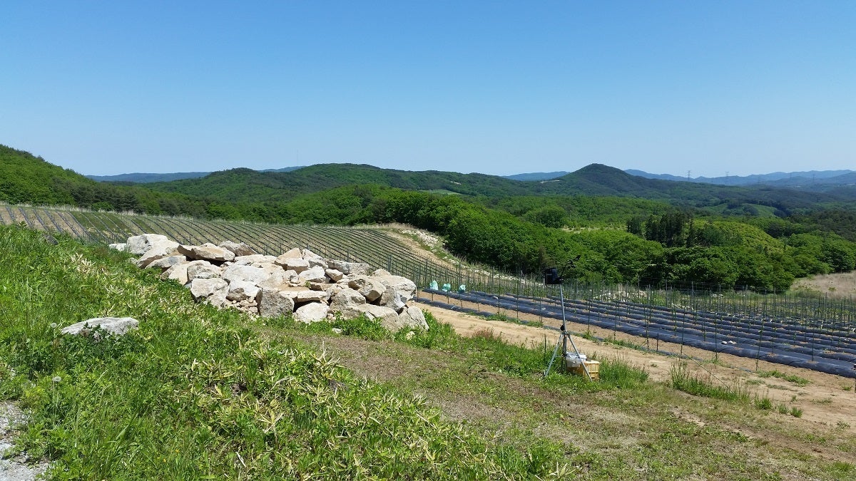 4番目のメイン画像