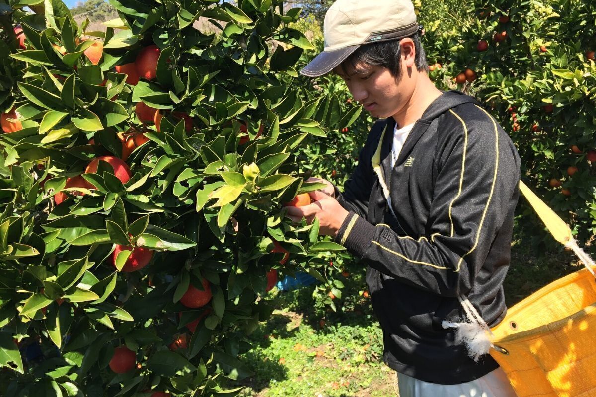 4番目のメイン画像