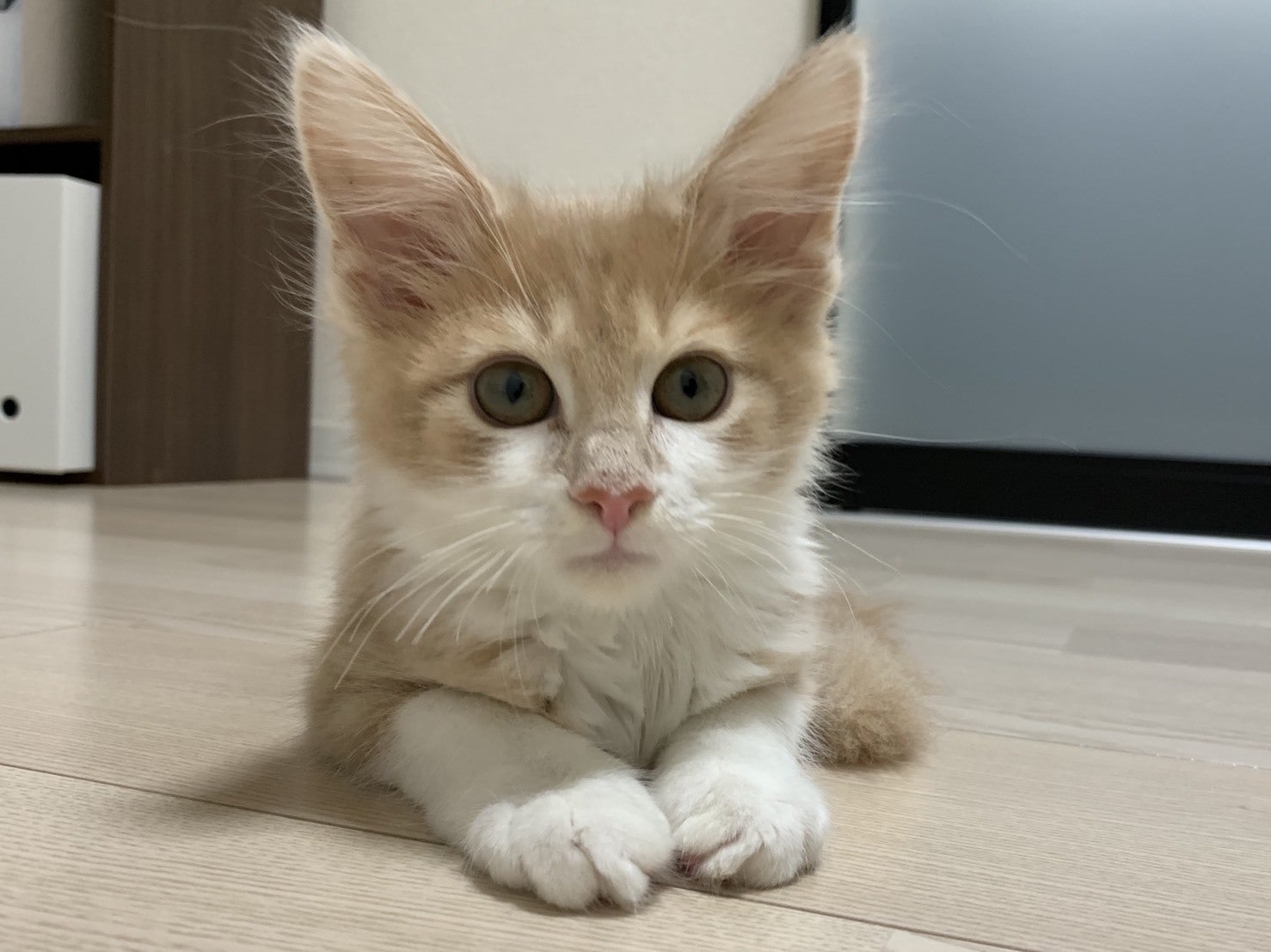 4番目のメイン画像