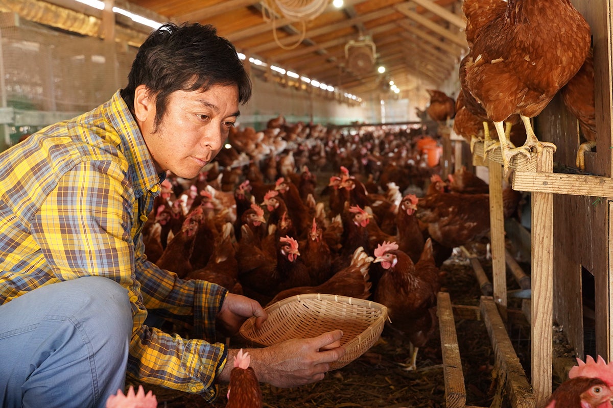 3番目のメイン画像