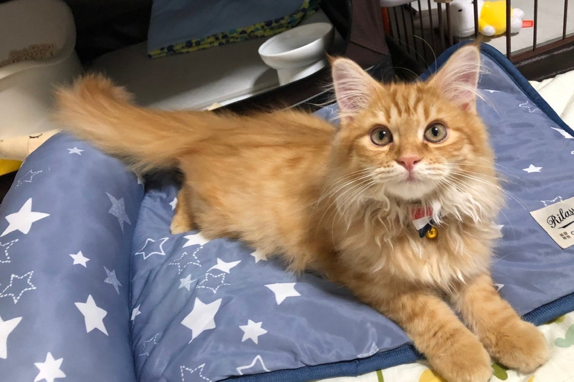 1番目のメイン画像