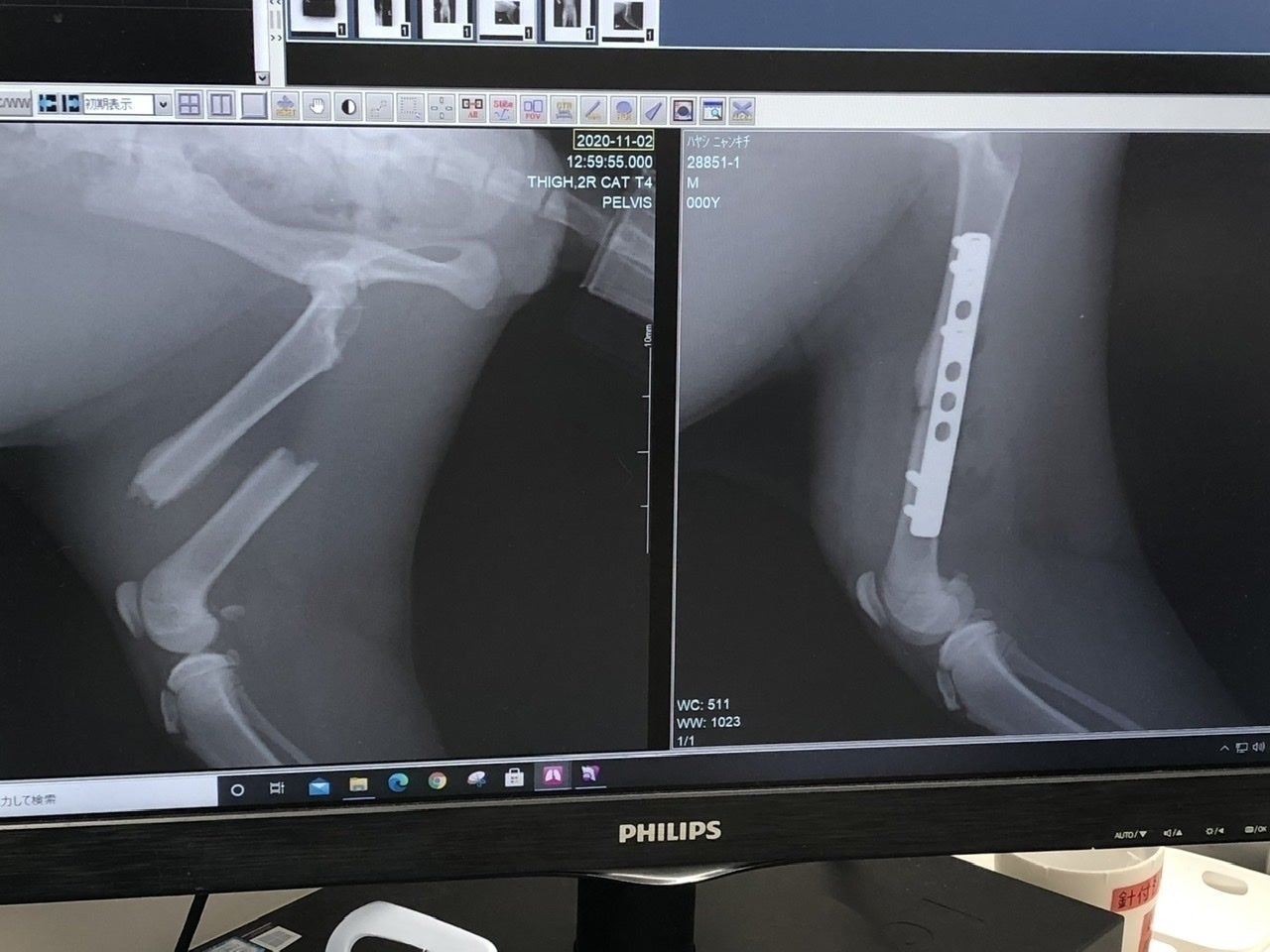 3番目のメイン画像