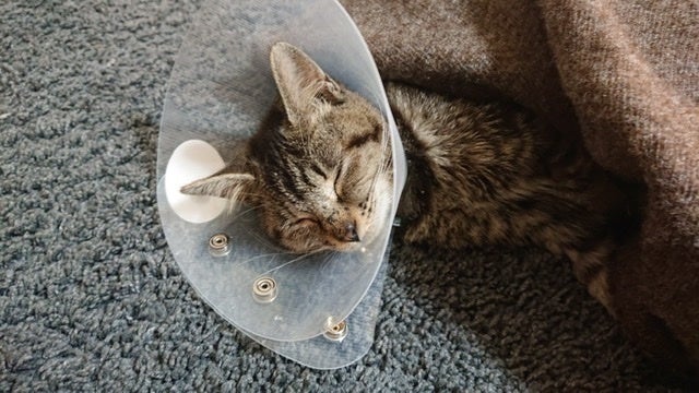 5番目のメイン画像