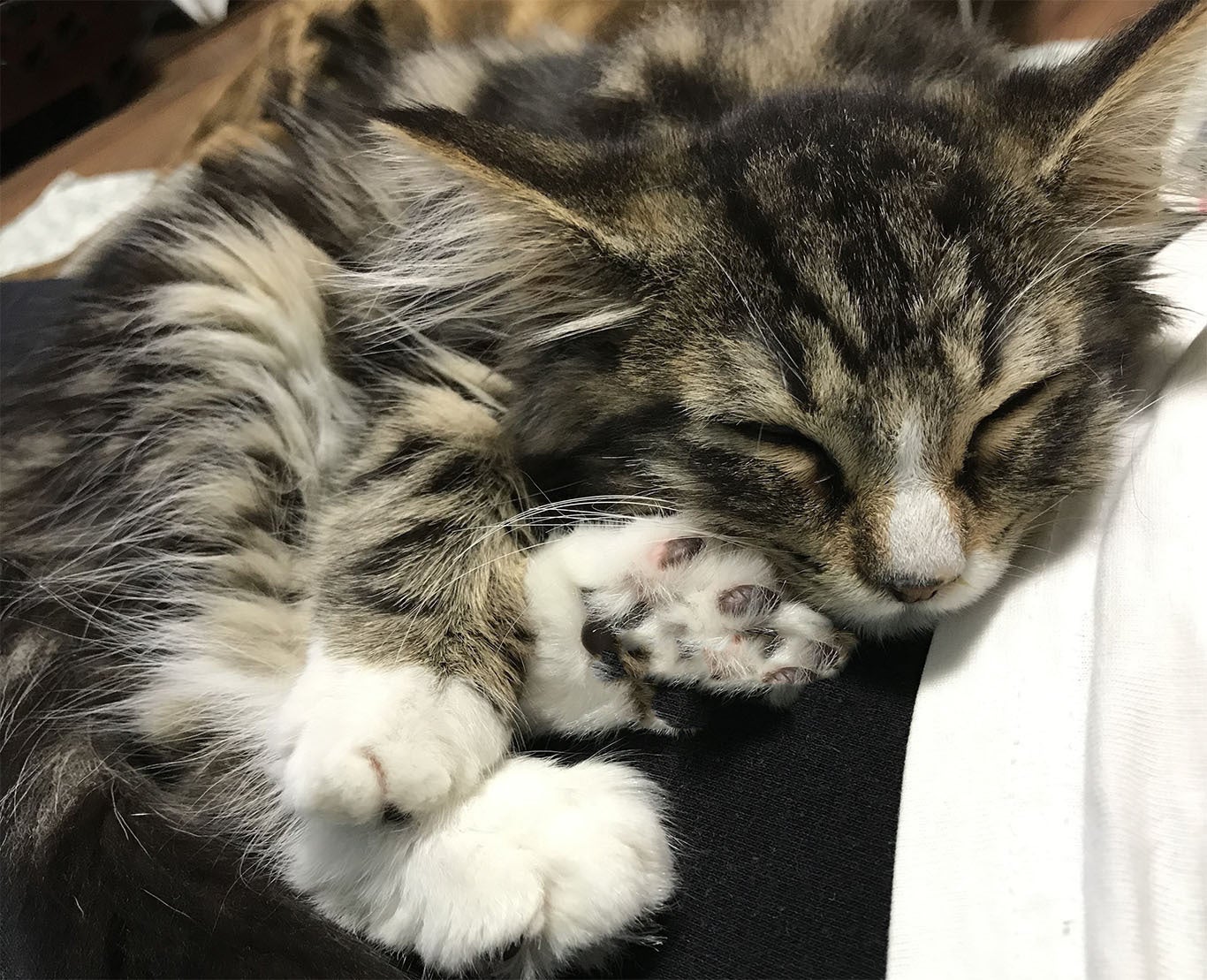 5番目のメイン画像