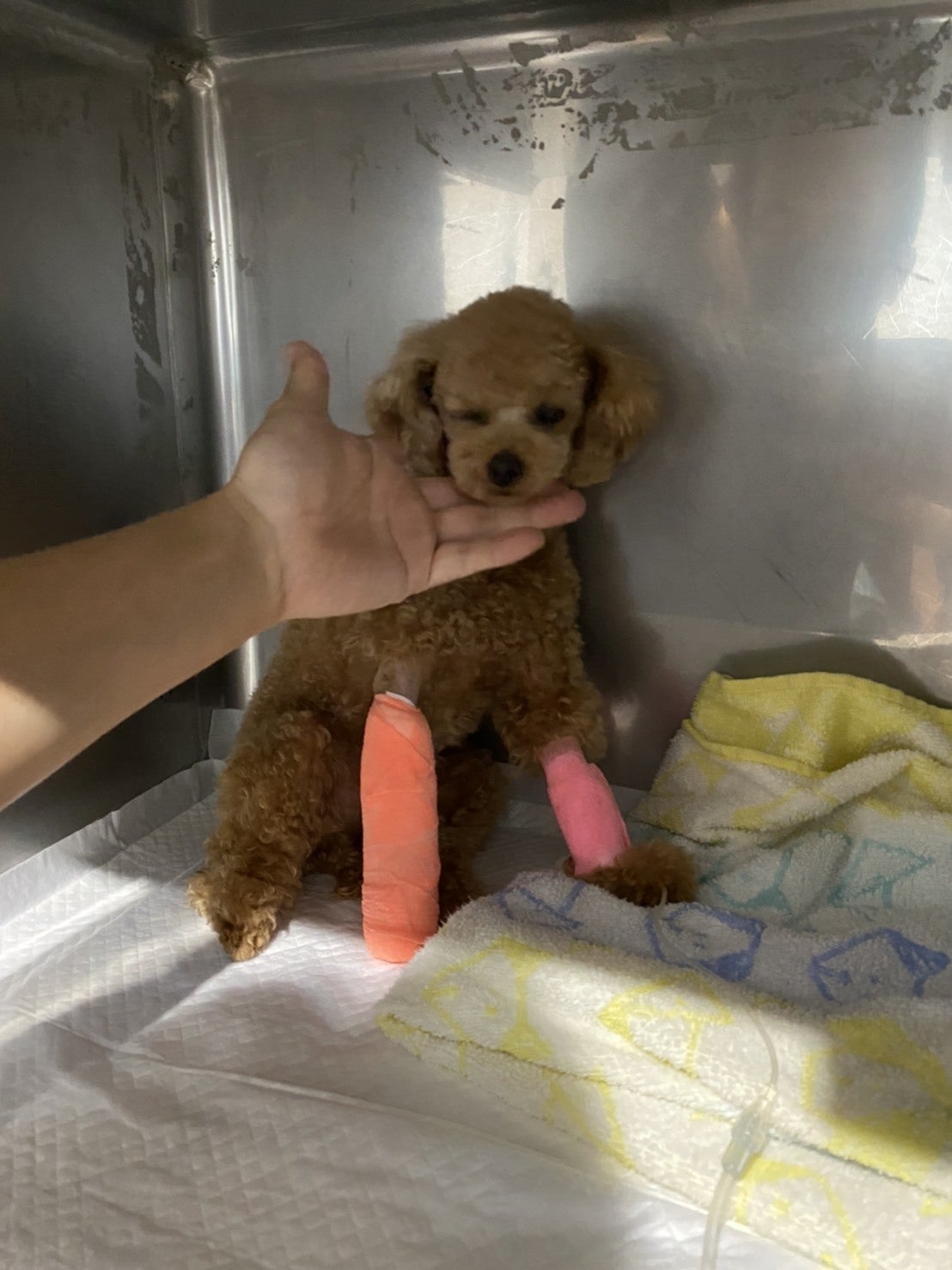 5番目のメイン画像