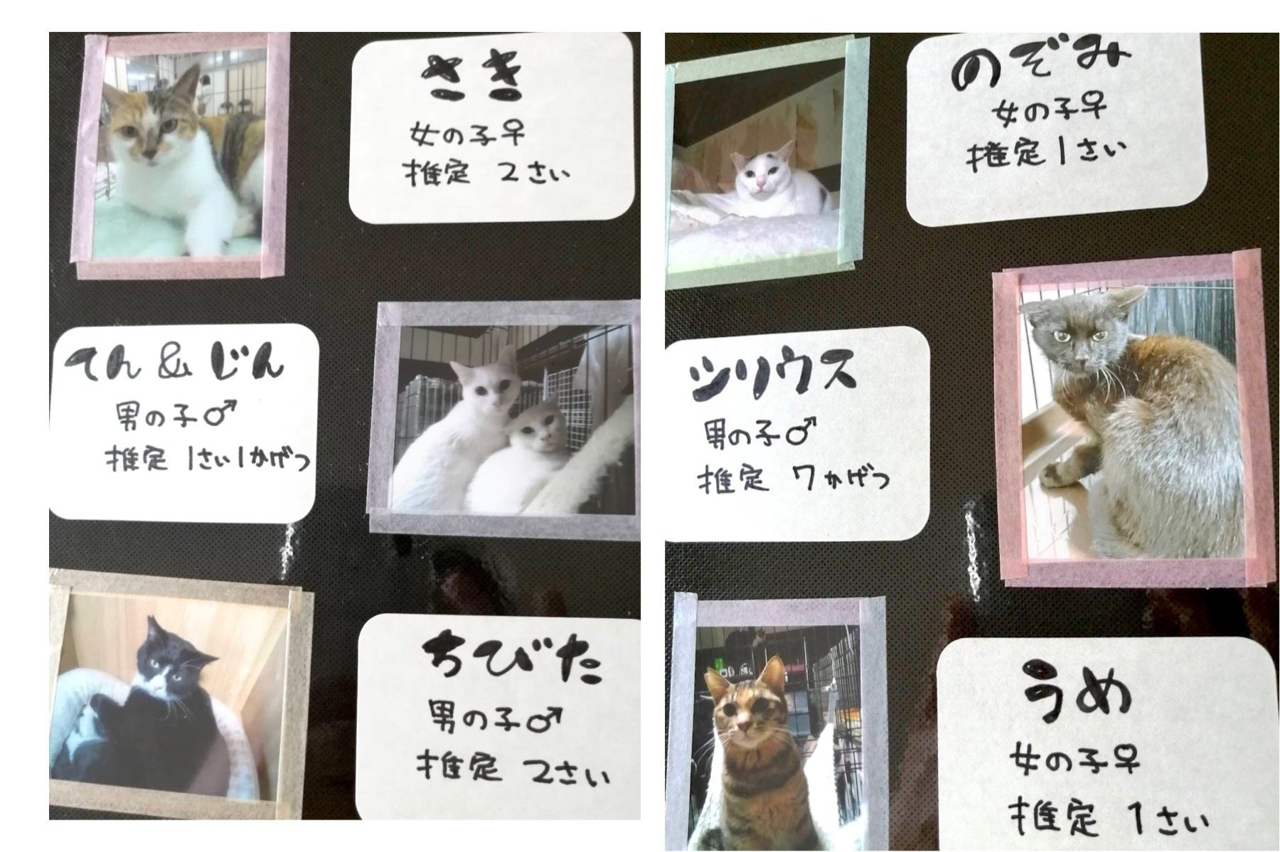 2番目のメイン画像