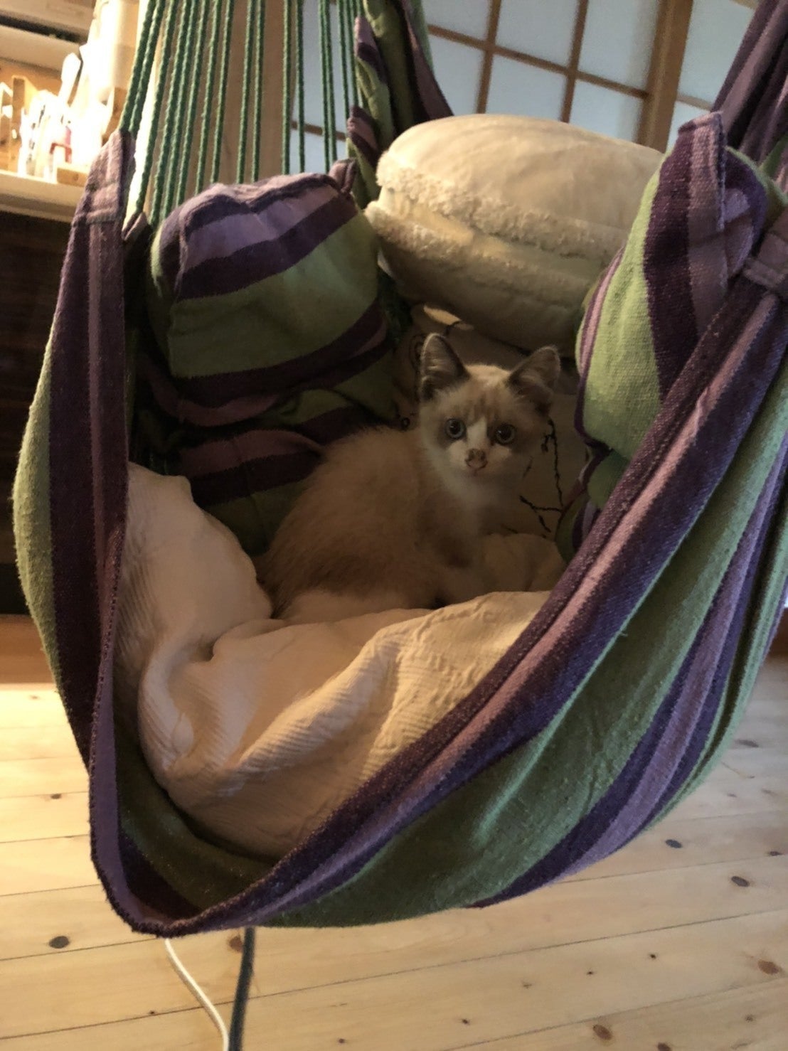 2番目のメイン画像