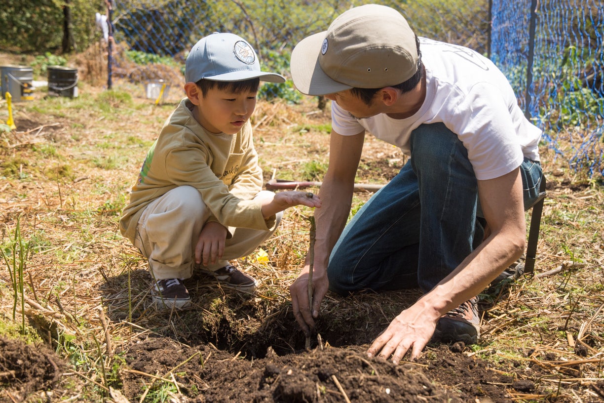 2番目のメイン画像