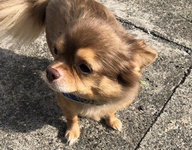 2番目のメイン画像