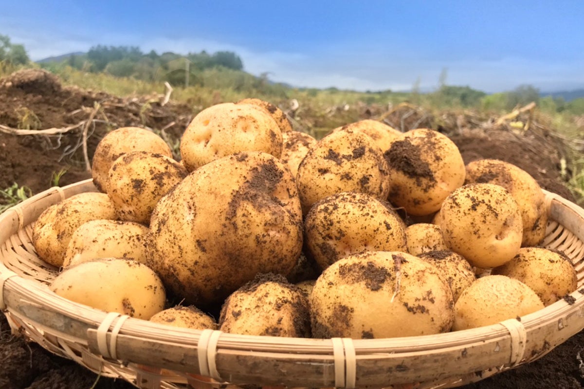 4番目のメイン画像