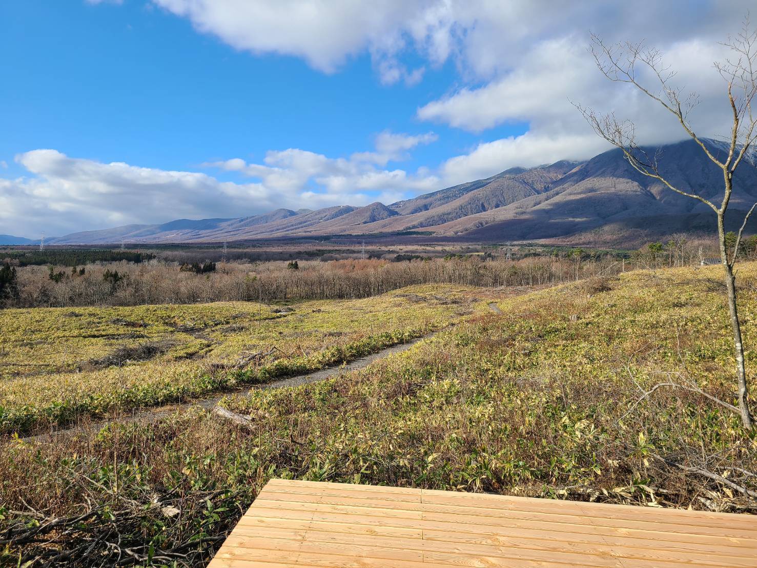 5番目のメイン画像