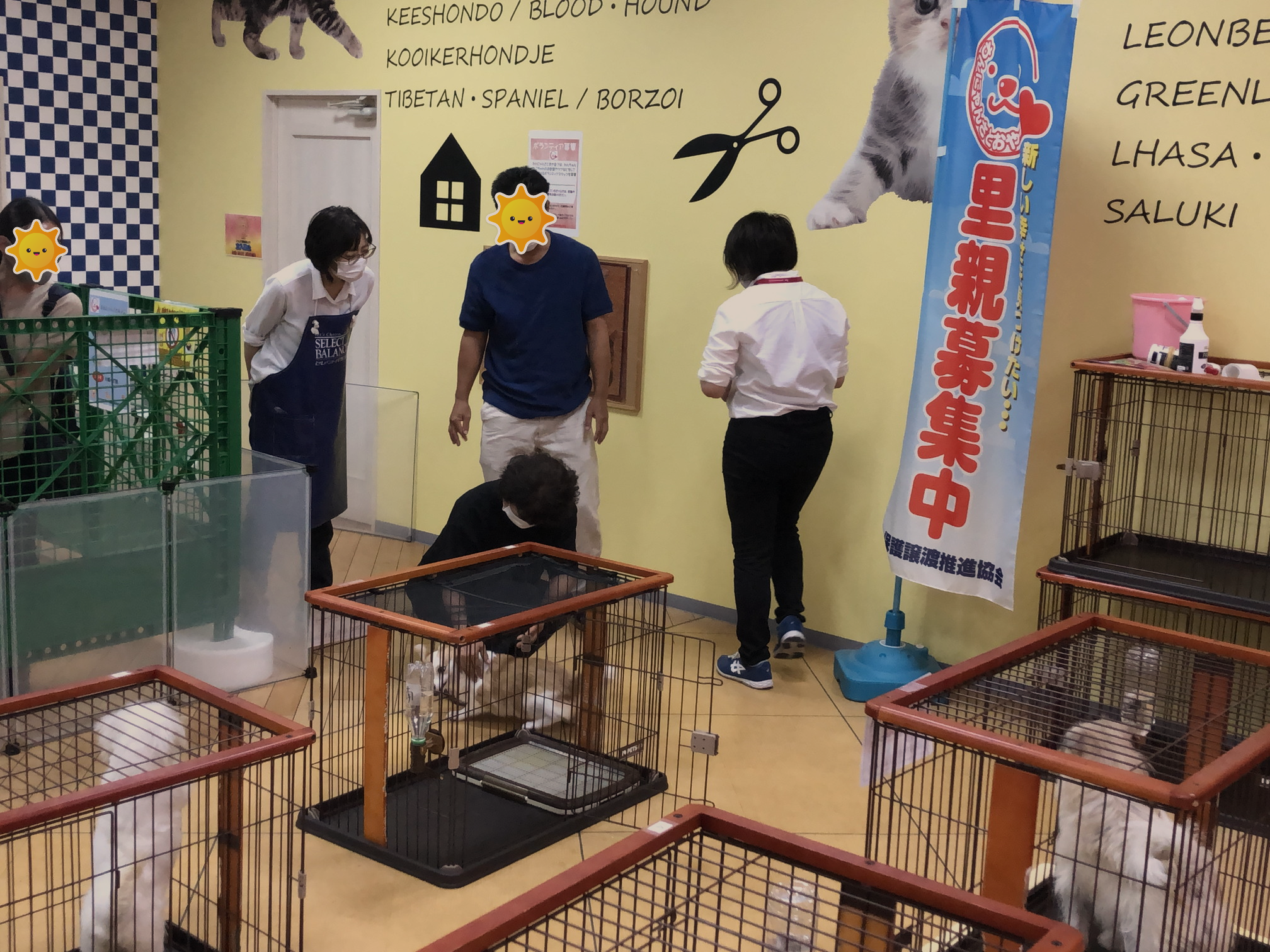 2番目のメイン画像