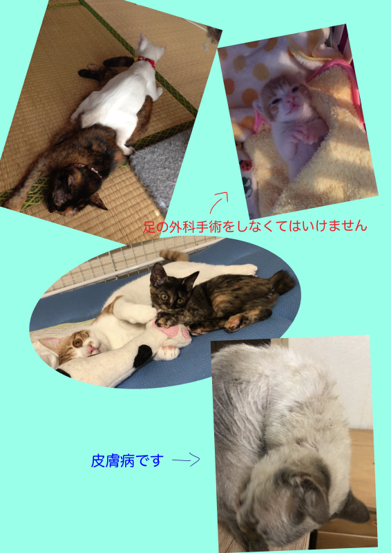 2番目のメイン画像