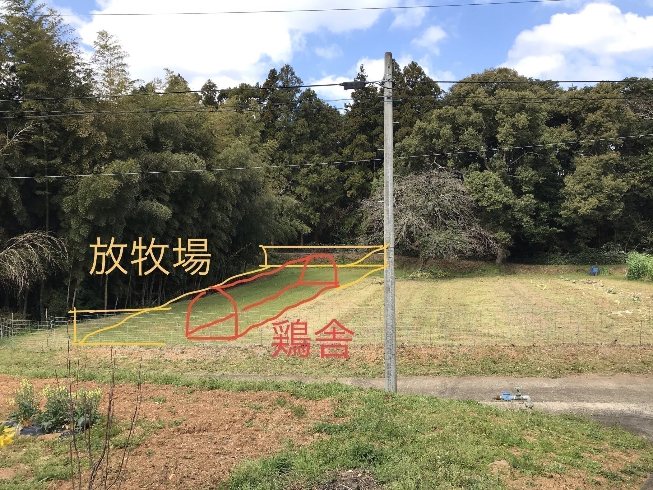 4番目のメイン画像