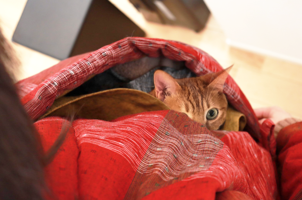 4番目のメイン画像