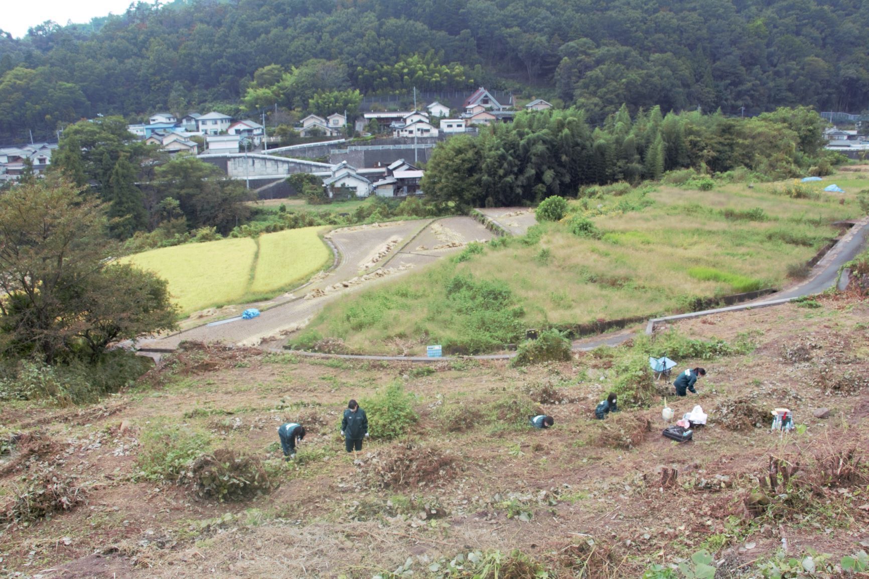 2番目のメイン画像