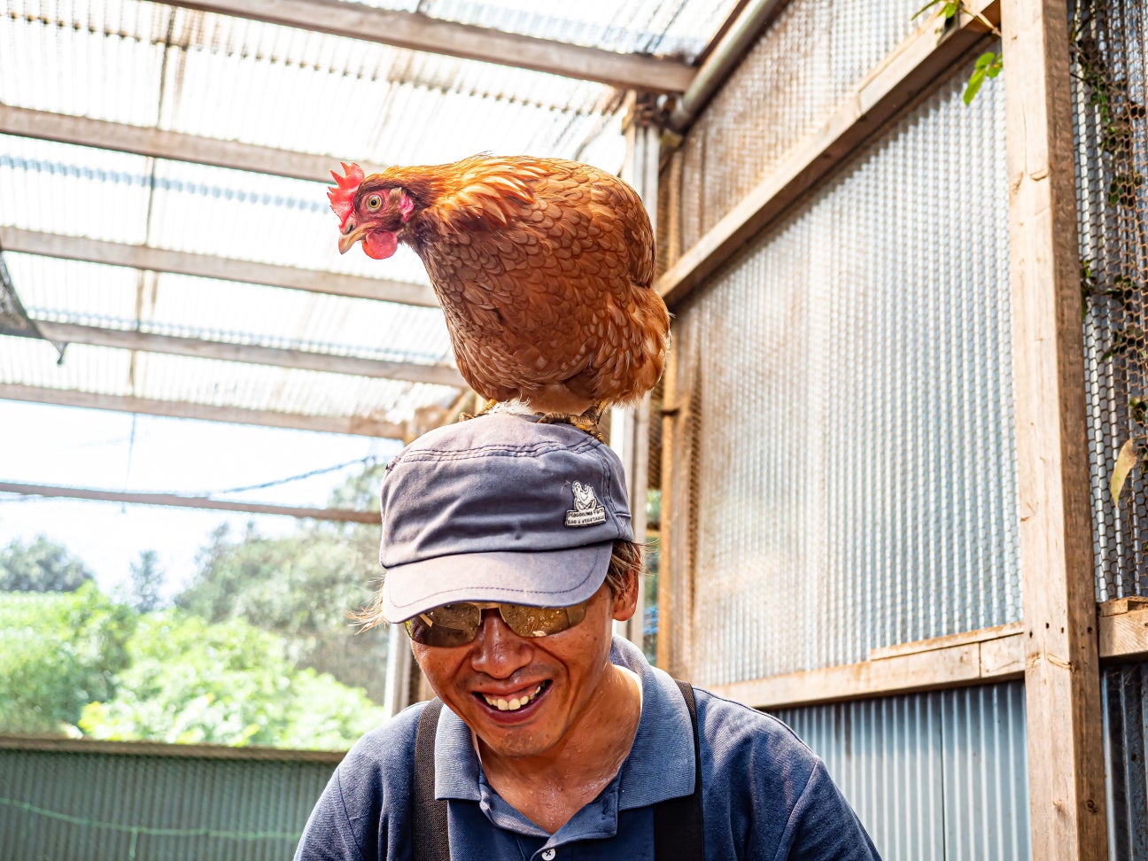 4番目のメイン画像