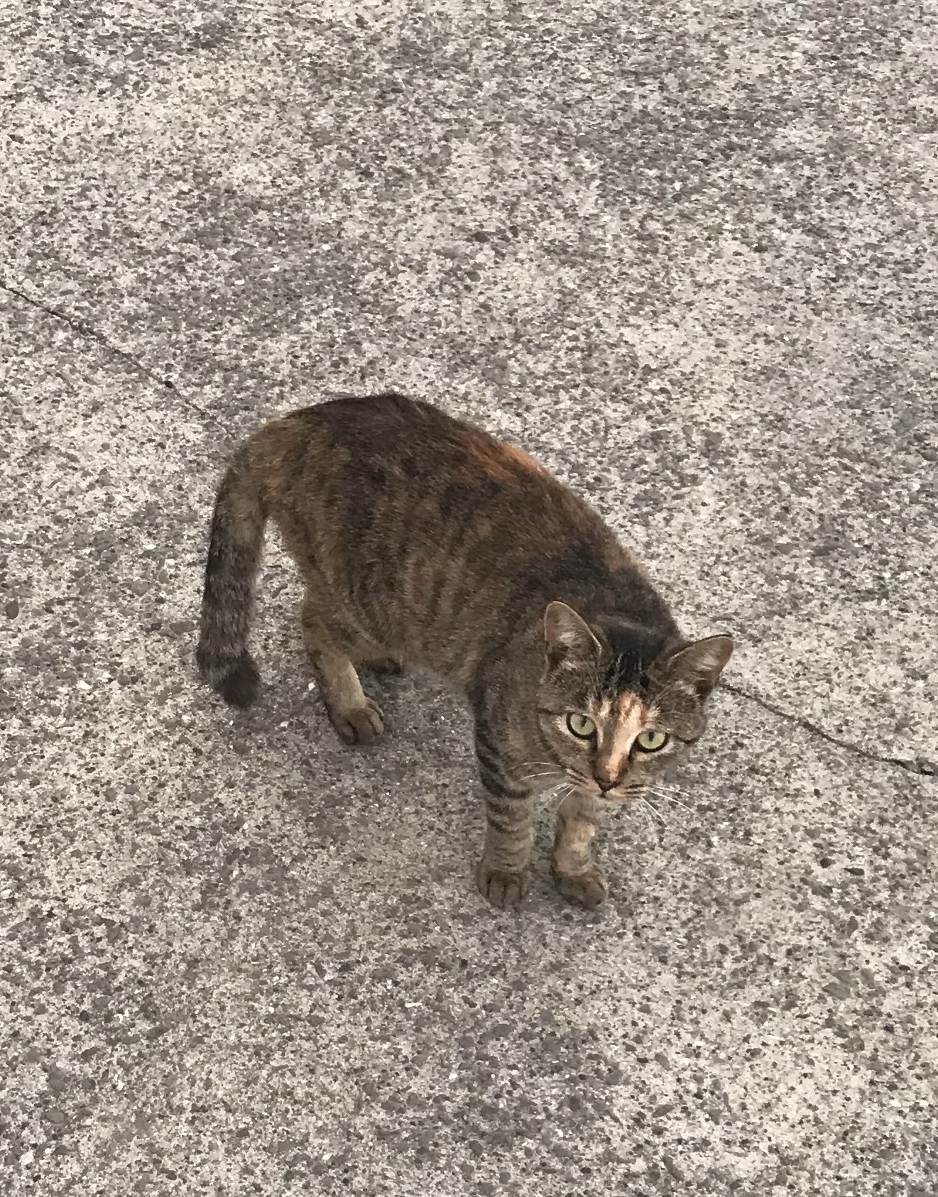 5番目のメイン画像