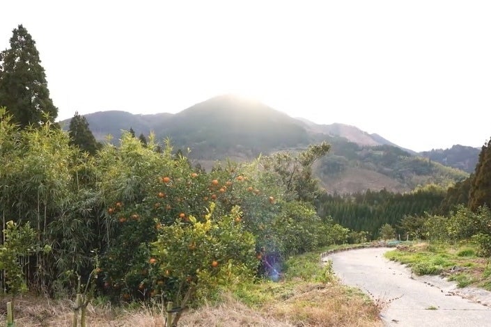 4番目のメイン画像