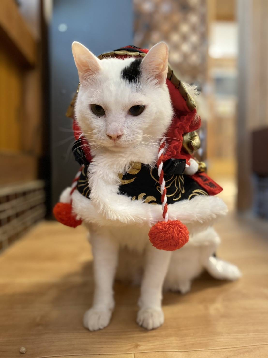 2番目のメイン画像