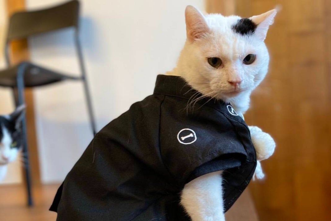 1番目のメイン画像