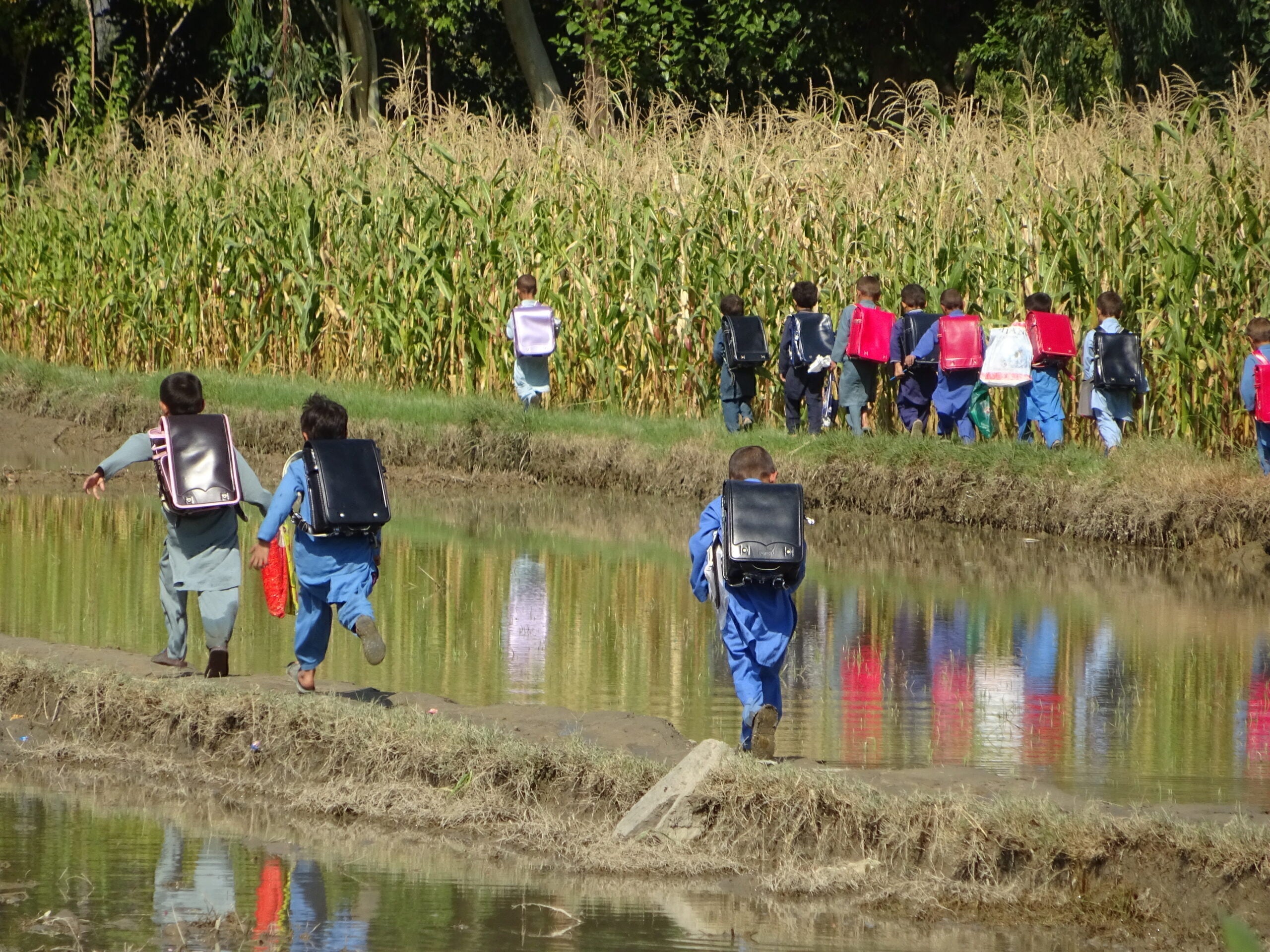 5番目のメイン画像