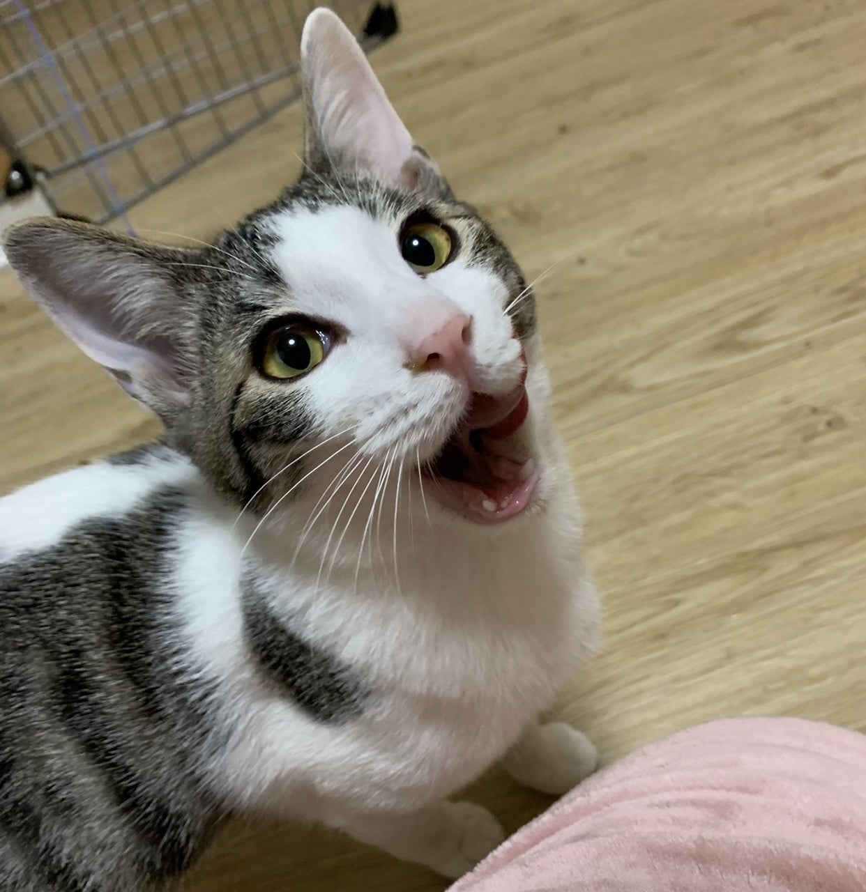 5番目のメイン画像