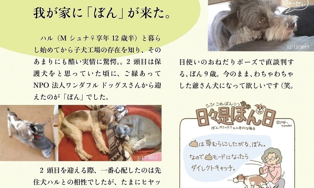 4番目のメイン画像